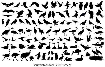 Wildlife. Bird silhouettes set. Vector illustration