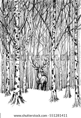 Wildlife carbon drawing. Deer in winter forest vector