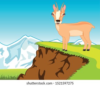 Wildlife chamois on background of the nature