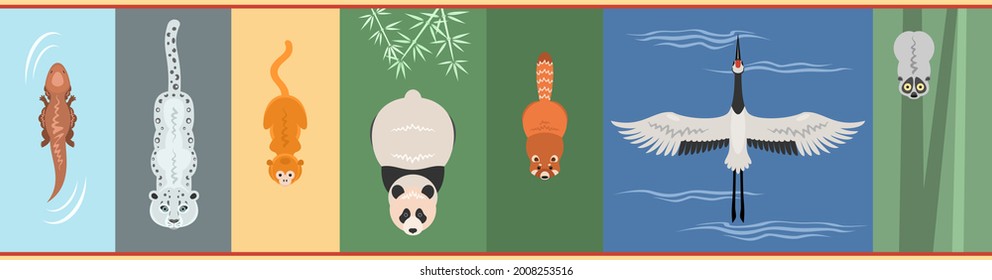 Wildlife of China, top view vector animals: salamander, snow leopard, monkey, Giant panda, red panda, crane, slow loris