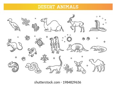 wildlife concept with different desert animals