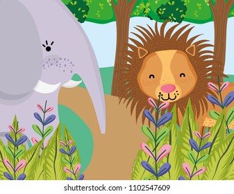 Wildlife cute animals