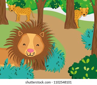 Wildlife cute animals