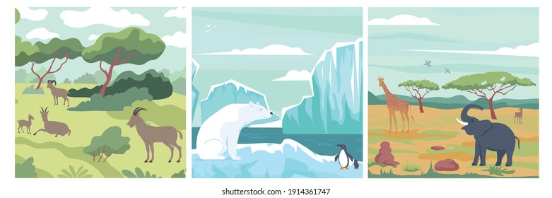 Wildlife design concept with set of compositions with wild animals in landscapes of various climate zones vector illustration