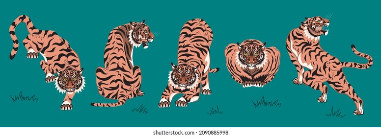 Wildlife and fauna adult big tigers set, animal cartoon theme, design flat vector illustrations of tigers in different poses, isolated on green background