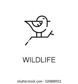 Wildlife flat icon. Single high quality outline symbol of outdoor activity for web design or mobile app. Thin line signs of bird for design logo, visit card, etc. Outline pictogram of wildlife 
