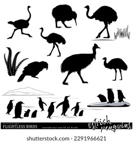 Wildlife. Flightless birds set. Ostriches, penguins, kiwi, kakapo silhouettes. Vector illustration