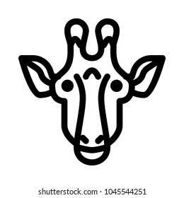 Wildlife Giraffe Animal