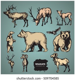 Wildlife. Hand drawn vector silhouettes.