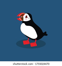 Wildlife in Iceland Collection Illustration Vector (Clipart) 