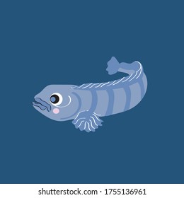 Wildlife in Iceland Collection Illustration Vector (Clipart)