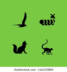wildlife icon. 4 wildlife set with bird, zoo, insect and animal vector icons for web and mobile app