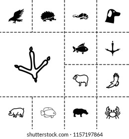 Wildlife icon. collection of 13 wildlife filled and outline icons such as eagle, hippopotamus, wolf, footprint of  icobird, sheep. editable wildlife icons for web and mobile.