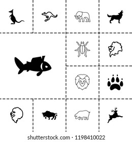 Wildlife icon. collection of 13 wildlife filled and outline icons such as lion, cangaroo, fish, buffalo, kangaroo, deer, wolf, paw. editable wildlife icons for web and mobile.