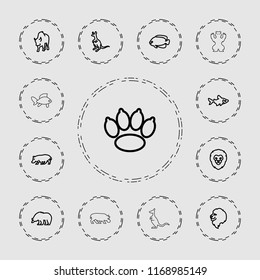 Wildlife icon. collection of 13 wildlife outline icons such as lion, bear, fish, cangaroo, buffalo, hippopotamus, paw. editable wildlife icons for web and mobile.