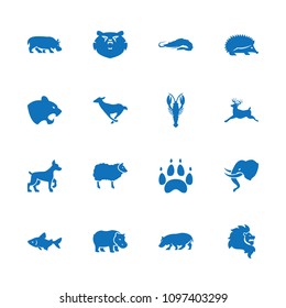 Wildlife icon. collection of 16 wildlife filled icons such as alligator, hedgehog, panther, crab, fish, deer, hippopotamus, bear. editable wildlife icons for web and mobile.