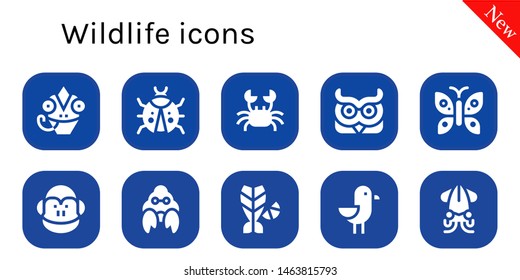 wildlife icon set. 10 filled wildlife icons.  Collection Of - Chameleon, Ladybug, Crab, Owl, Butterfly, Monkey, Hermit crab, Fish, Seagull, Squid