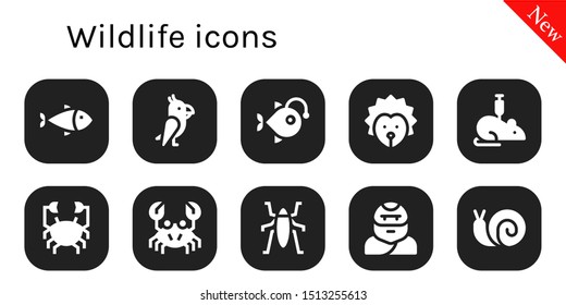 wildlife icon set. 10 filled wildlife icons.  Collection Of - Fish, Parrot, Anglerfish, Hedgehog, Rat, Crab, Insect, Troglodyte, Snail icons