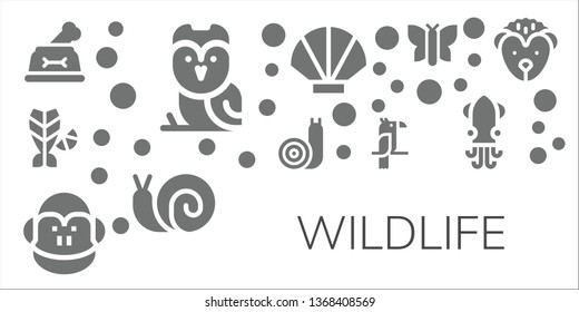 wildlife icon set. 11 filled wildlife icons.  Collection Of - Dog, Owl, Fish, Snail, Monkey, Parrot, Seashell, Butterfly, Squid, Hedgehog