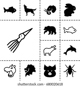 Wildlife icon. set of 13 filled and outline wildlife icons such as rabbit, bear, pig, lion, beetle, wolf, elephant, fish, dolphin, hippopotamus