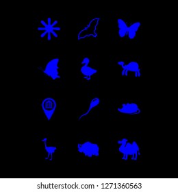 wildlife icon set about sperm, rhinoceros, rat and butterfly vector set