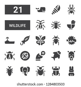 wildlife icon set. Collection of 21 filled wildlife icons included Rabbit, Beetle, Elephant, Cockroach, Camel, Fish, Dog, Ladybug, Blowfish, Butterfly, Turtle, Seagull, Seashell