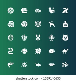 Wildlife Icon Set Collection 25 Filled Stock Vector (Royalty Free ...