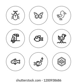 Wildlife icon set. collection of 9 outline wildlife icons with beetle, butterfly, fish, piaggio, parrot icons. editable icons.