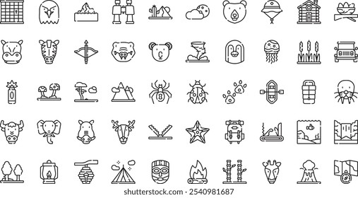 Wildlife icons . High-Quality Vector Icons Collection with Editable Stroke. Ideal for Professional and Creative Projects.