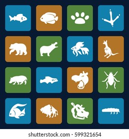 wildlife icons set. Set of 16 wildlife filled icons such as fish, bear, hippopotamus, beetle, footprint of  icobird, buffalo, kangaroo, caterpillar, paw