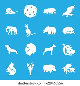 Wildlife icons set. set of 16 wildlife filled icons such as lion, bear, eagle, hedgehog, dog, crab, elephant, kangaroo, squirrel, hippopotamus, fish, seal, snail