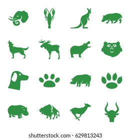 Wildlife icons set. set of 16 wildlife filled icons such as bear, moose, hippopotamus, crab, buffalo, antelope, pig, bull, wolf, kangaroo, elephant