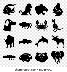 Wildlife icons set. set of 16 wildlife filled icons such as bear, lion, moose, fish, panther, crab, buffalo, kangaroo, squirrel, elephant, caterpillar, dolphin, extinct fish