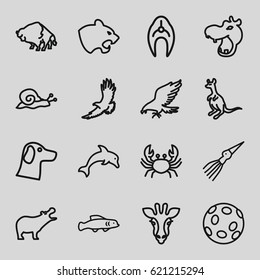 Wildlife icons set. set of 16 wildlife outline icons such as giraffe, hippopotamus, eagle, panther, buffalo, crab, cangaroo, snail, fish, dolphin, extinct sea creature