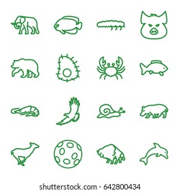 Wildlife icons set. set of 16 wildlife outline icons such as bear, pig, alligator, buffalo, eagle, elephant, crab, antelope, fish, hippopotamus, snail, caterpillar, dolphin