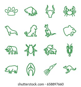 Wildlife icons set. set of 16 wildlife outline icons such as lion, beetle, panther, crab, buffalo, elephant, cangaroo, pig, bull, fish, seal, paw