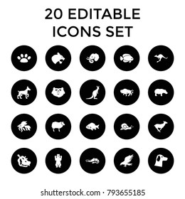 Wildlife icons. set of 20 editable filled wildlife icons such as bear, eagle, fish, buffalo, antelope, kangaroo, hippopotamus. best quality wildlife elements in trendy style.