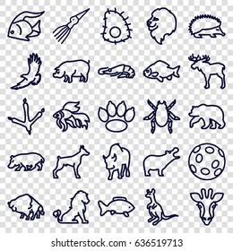 Wildlife icons set. set of 25 wildlife outline icons such as giraffe, lion, moose, fish, bear, alligator, hippopotamus, hedgehog, dog, beetle, footprint of  icobird, buffalo