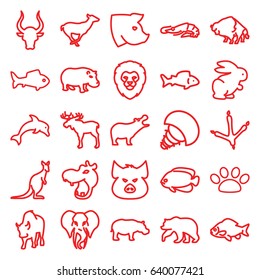 Wildlife icons set. set of 25 wildlife outline icons such as moose, bear, hippopotamus, lion, pig, alligator, fish, footprint of  icobird, buffalo, antelope, bull, cangaroo