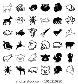 Wildlife icons. set of 36 editable filled and outline wildlife icons such as lion, beetle, sheep, antelope, elephant, hippopotamus, extinct sea creature, rabbit, giraffe, pig