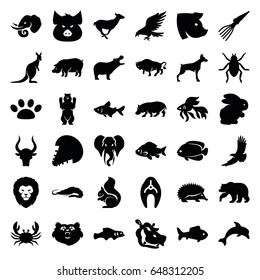 Wildlife icons set. set of 36 wildlife filled icons such as rabbit, fish, bear, lion, pig, alligator, hippopotamus, eagle, hedgehog, dog, beetle, crab, buffalo, antelope