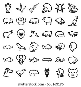 Wildlife icons set. set of 36 wildlife outline icons such as lion, pig, bear, hippopotamus, hedgehog, beetle, panther, footprint of  icobird, crab, buffalo, sheep, fish