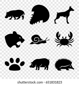 Wildlife icons set. set of 9 wildlife filled icons such as hedgehog, dog, panther, crab, pig, hippopotamus, snail, paw