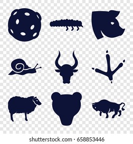 Wildlife icons set. set of 9 wildlife filled icons such as footprint of  bird, sheep, buffalo, bull, pig, snail, caterpillar, extinct sea creature