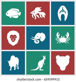 Wildlife icons set. set of 9 wildlife filled icons such as fish, lion, crab, kangaroo, buffalo, elephant