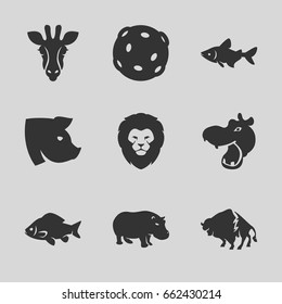 Wildlife icons set. set of 9 wildlife filled icons such as giraffe, hippopotamus, lion, fish, buffalo, pig