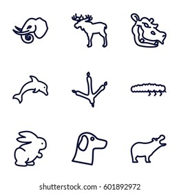 wildlife icons set. Set of 9 wildlife outline icons such as moose, hippopotamus, footprint of  icobird, elephant, rabbit, caterpillar, dolphin