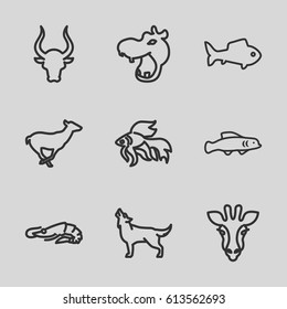 Wildlife icons set. set of 9 wildlife outline icons such as giraffe, hippopotamus, alligator, antelope, bull, wolf, fish