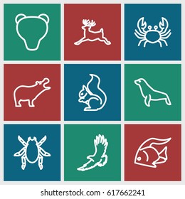 Wildlife icons set. set of 9 wildlife outline icons such as fish, hippopotamus, beetle, eagle, crab, squirrel, deer, seal