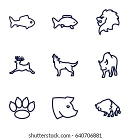 Wildlife icons set. set of 9 wildlife outline icons such as lion, buffalo, deer, wolf, pig, fish
